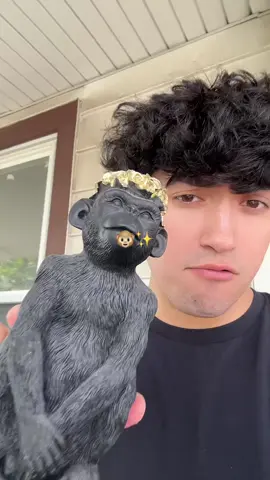 monkey 
