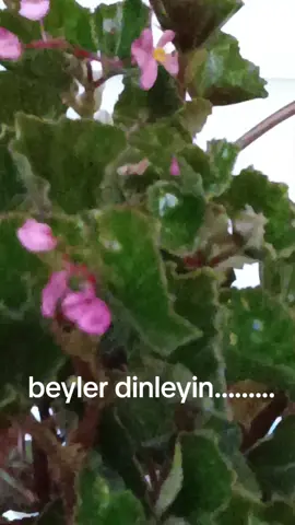 Huzur evinizde dışarda değil☺️☺️😊