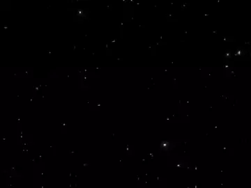 #بتهون #الشامي 