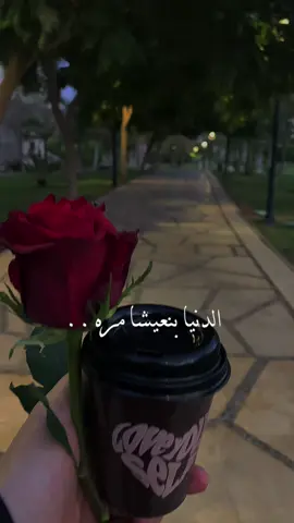 #CapCut #مساء_الخير #تصويري📷 #foryou #مدينتي 