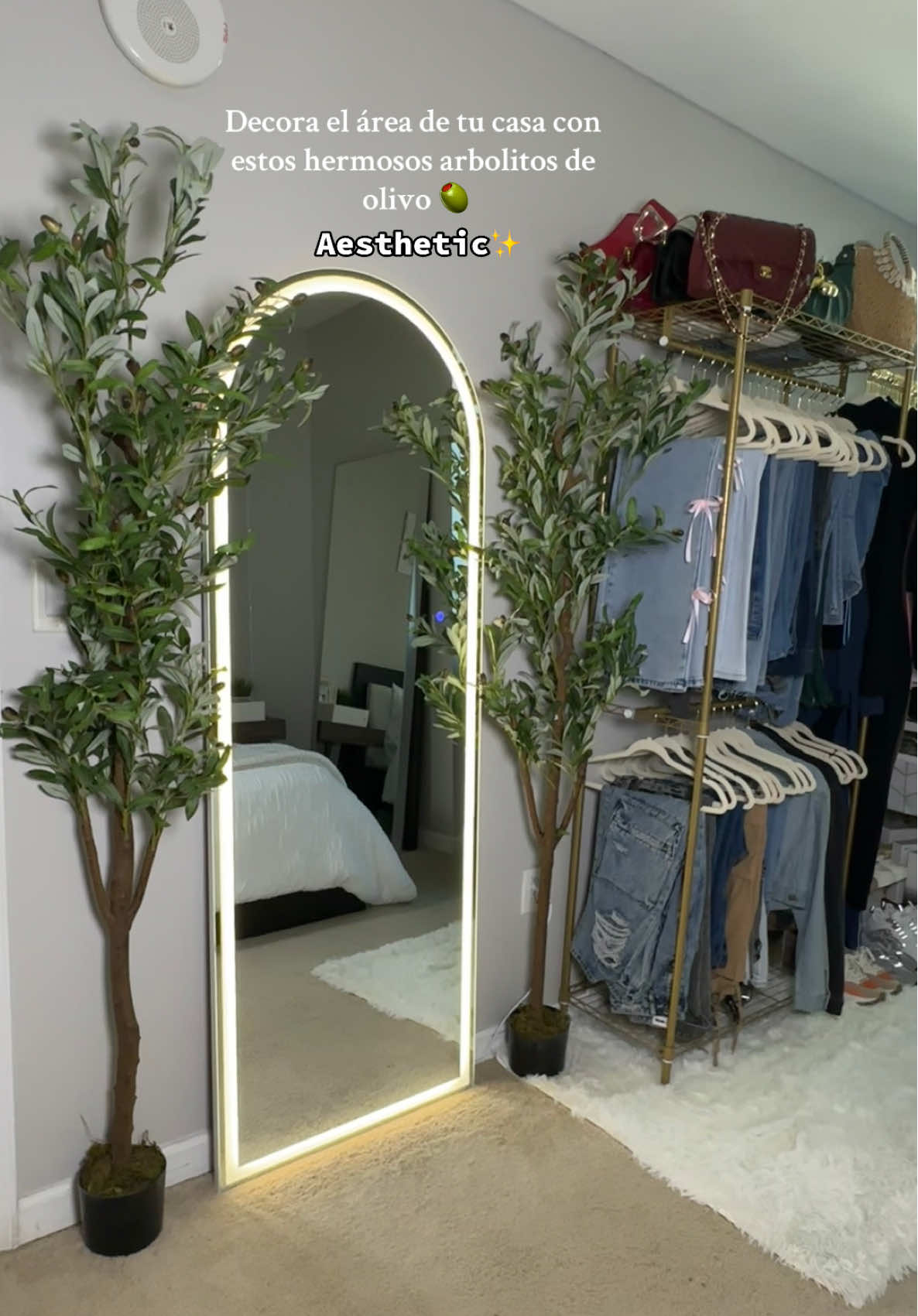 Arbolito de olivo hermoso #olivetree #treehouse #tree #olivegarden #arbol #olivo #viraltiktok #tiktokshop #tiktokshopfinds 