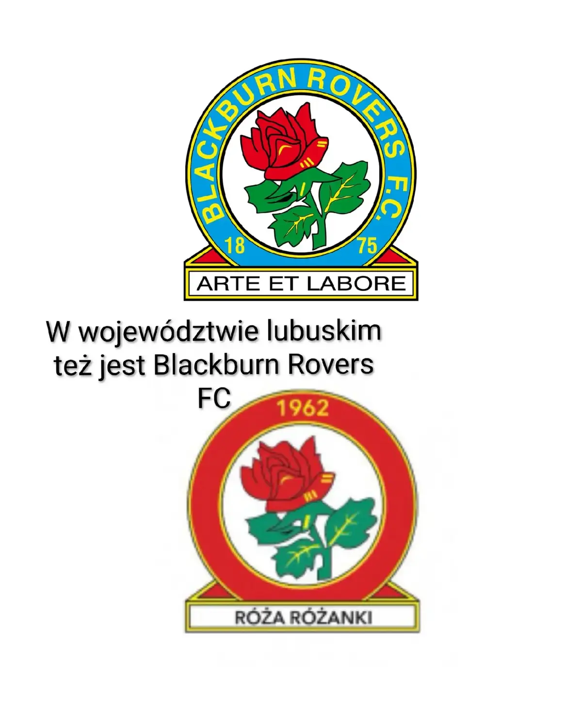 #blackburnrovers #różaróżanki #football #pilkanozna #piłkanożna 