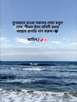 মুনাজাতে চাওয়া সকলের দোয়া কবুল হোক, নীরবে কাঁদা প্রতিটি হৃদয়ে আল্লাহ প্রশান্তি দান করুক।🖤 আমিন.)❤️‍🩹🌸 #foryoupage #foryou #fypage #goviral #tranding @TikTok Bangladesh 