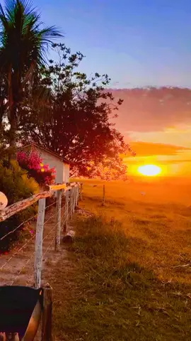 #inspirationalvideos #motivationalspeaker #social #advice 