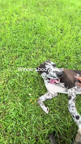 Earlier Costa was chasing Winnie and both were smiling#tiktok #Love #musically #memes #follow #like #viral #trending #funny #music #video#Qcomedy #dance #cute #explorepage #wallacewahog #warthog #pets #animals #nature #love #community #friends#rescueanimals#harmony#sanctuary#SafariLife#NatureVibes#WildlifePhotagraphy#AnimalKingdom#WildlifeWatch#SavannahSights#TikTokWildlife#AnimalRescue#rescueanimals#AnimalHeroes#SaveALife#AnimalWelfare#TikTokRescue#AnimalTherapy#TherapyAnimals#EmotionalSupportAnimal#PetTherapy#AnimalAssistedTherapy#TherapyPets#HealingWithAnimals#ComfortAnimals#AnimalLove#MentalHealthSupport#PetLove#Nonprofit#Charity#CommunityServive#SocialImpact#VolunteerWork#Humanitarian#Philanthropy#willow#winnie#MakeADifference 	•	
