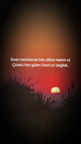 Asil bir yalnızlık Sahte bir kalabalıktan iyidir#cesaret #yanlızlık #güzelsözler #acımasızhayat #raconsözler 