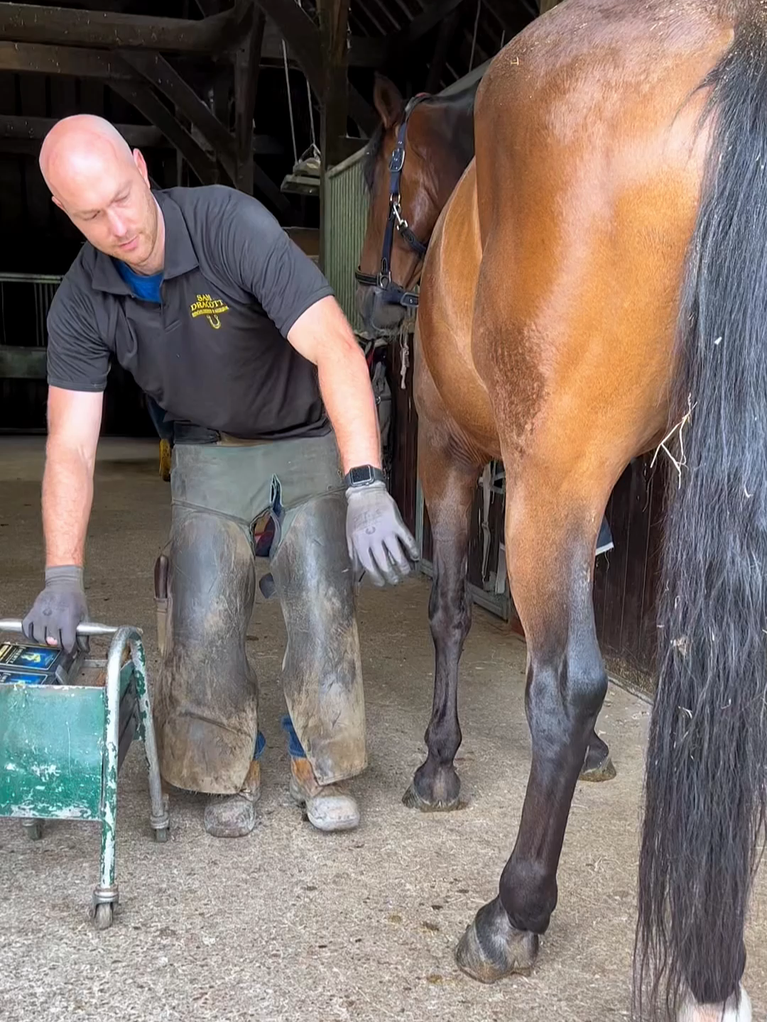 #farrier #farrieroftiktok #horseshoe #animalwelfare #satisfying