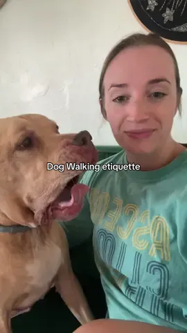 Moral of the story: don’t walk up to random dogs and put your fingers right in their faces. Always ask permission to say hi to/pet a dog, and always greet them slowly and properly! #dogetiquette 
