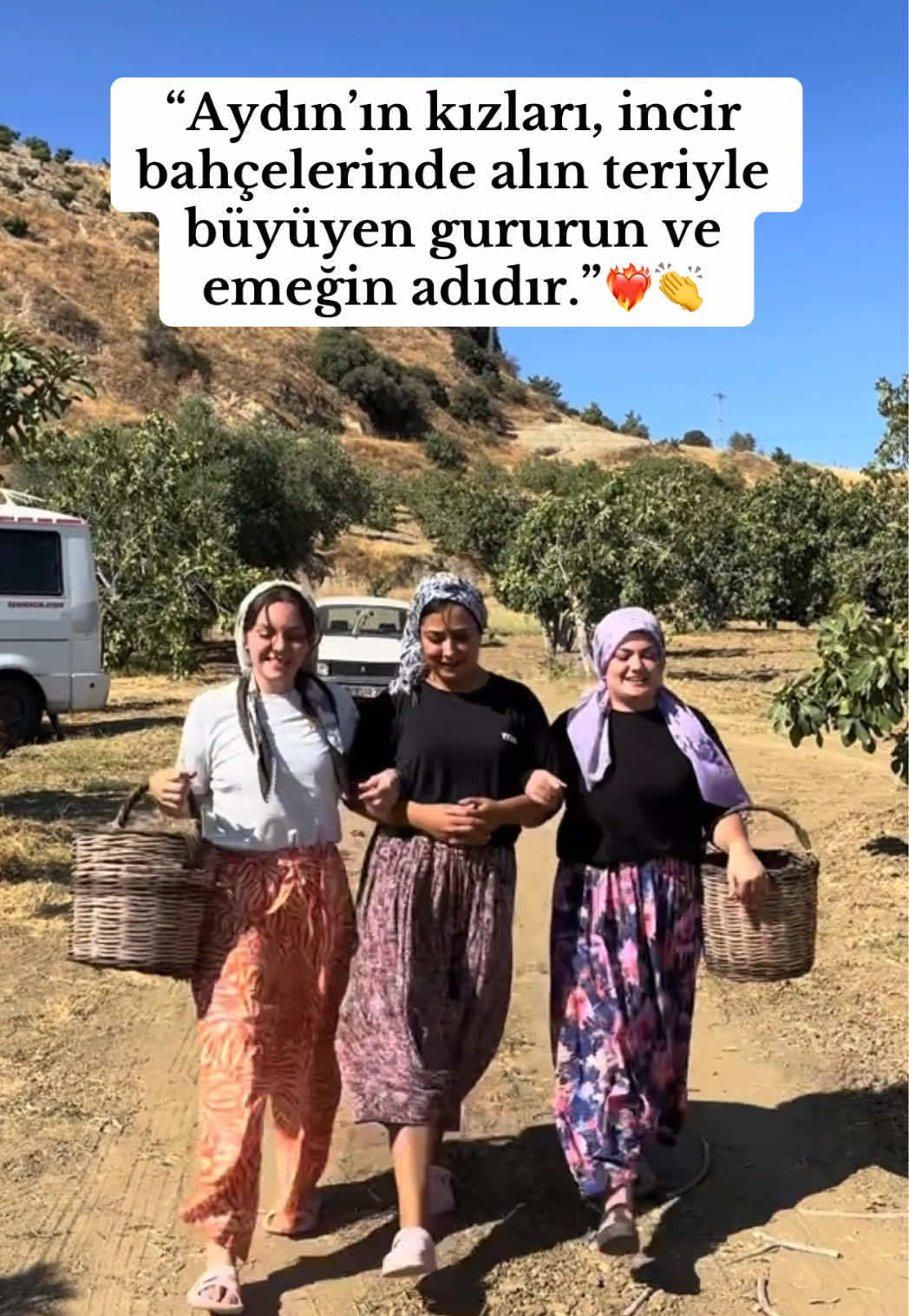 Aydın’ın kızları, incir bahçelerinde alın teriyle büyüyen gururun ve emeğin adıdır.İncir bahçelerinde rüzgârla dans eden Aydın’ın kızları, güzelliğiyle de emeğiyle de bu toprağın şiiridir. ‘ ‘ ‘ #nazilli #aydın #incir #kuruincir #çiftçi 