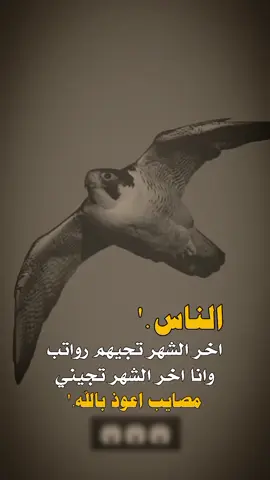 #عبارات_جميلة_وقويه😉🖤 #تصميم_فيديوهات🎶🎤🎬 