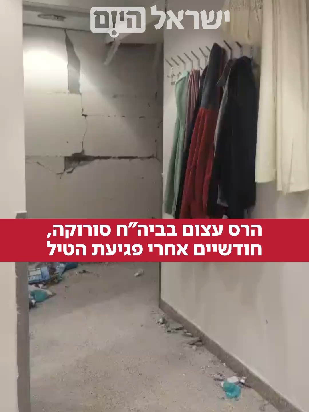 צילום: דויד פרץ