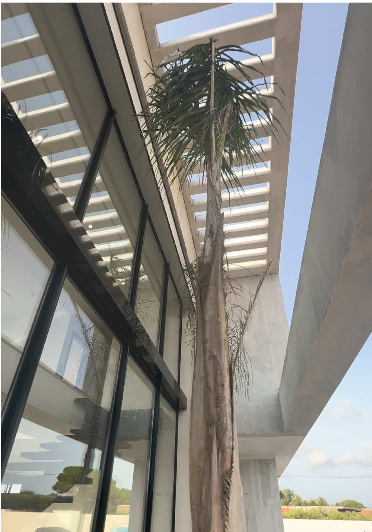 CHANTIER EN COURS BY @sbs.architectes #chantier #chantierencours #suivi #villa #villamoderne             