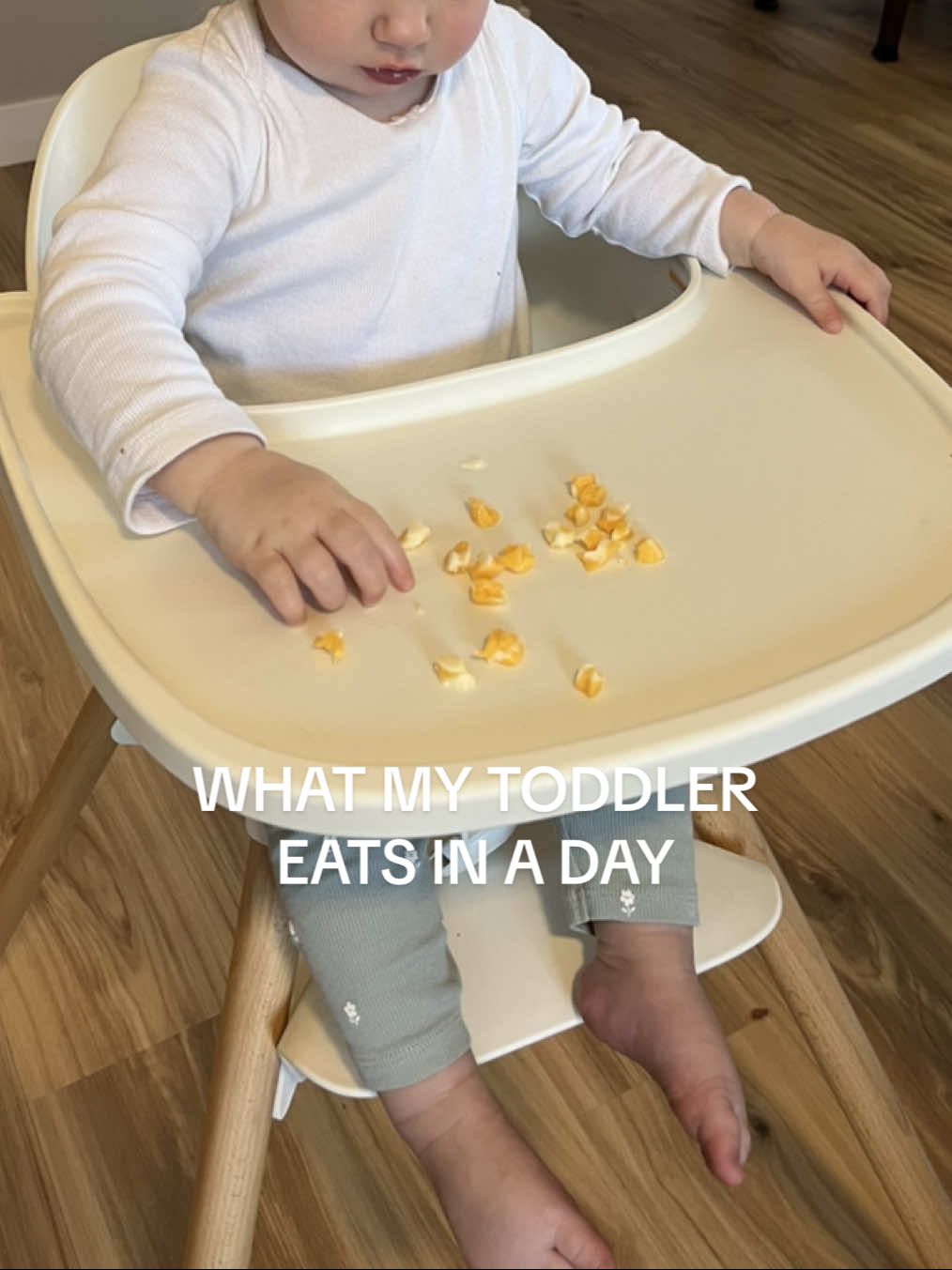 a good day of eats for miss girl! 🤍 #toddlermeals #toddlersnacks #toddlermealideas #toddlermom #whatieatinaday 
