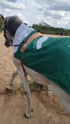 #foryoupage❤️❤️ #videoviral #standwithkashmir 