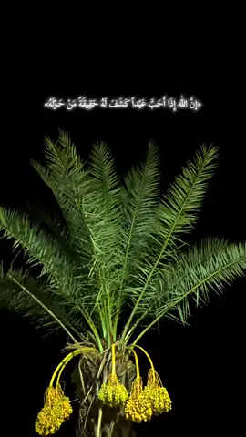 🤍 .  .  .  #تصويري📸 #لايك__explore___ #اعاده_نشر🔁 #اكسبلورexplore #الحمدالله_علی_کل_حال❤ 