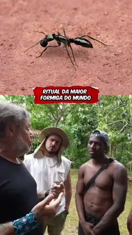 Ritual da maior formiga do mundo na Amazonas @Jon Vlogs #jonvlogs #bdj #indio #formiga #clipstwitch 
