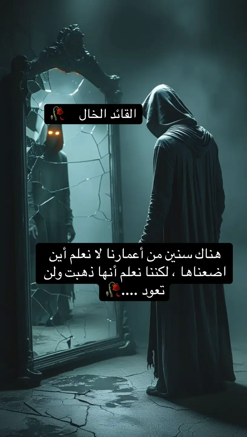 #fypシ゚viral #flyingjets #الخال💔 
