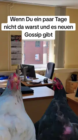 #DasBüroZurHölle #Comedy #Fun #Büro #Spaß 