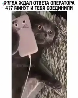 все так да 😂😂😂