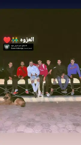 #اخواتي #الاسماعيليه_بلدناا🇺🇦 #اخصام_سهله🥷⚔️🖤 #خطر❌
