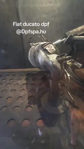 @Dpfspa 