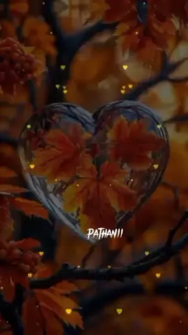Ss #pathaniii6 #fyp #foryou 