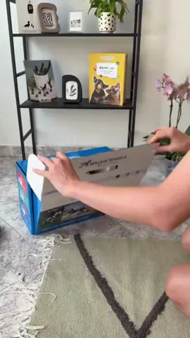 Unboxing time! 📦 Watch Pancho take his first steps in his new wheels 🛞 🎥 @petur.and.archi #WalkinPets #WheeliePets #PetWheelchair #DogWheelchair