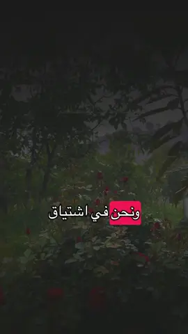 يارب 🤲 