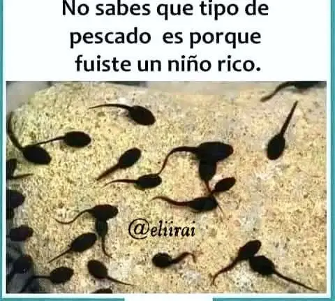 los leo en los comentarios 😎🤠 #paratii #tiktoker #viral #fypシ #humor 
