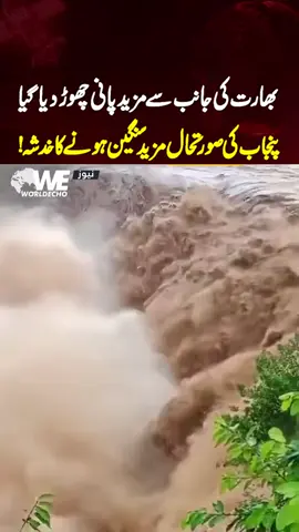 بھارت کی طرف سے مزید پانی چھوڑ دیا گیا پنجاب کی حالت سنگین ہونے کا خدشہ 😢 #pakistan #flood #india #viralvideo #floodwarning 