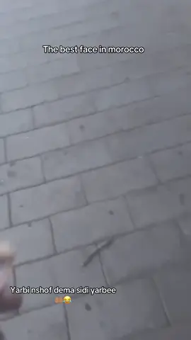 جلالة الملك ملك بلد 🫡