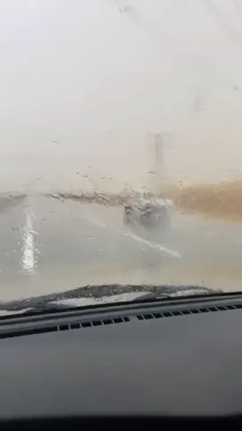 #بدع_زايد #سلع #غياثي 