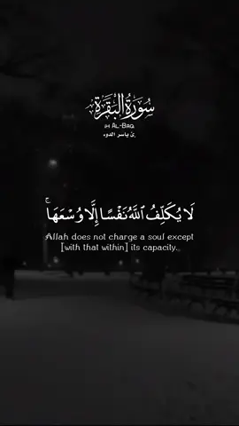 ﴿ لا يكلف الله نفسا إلا وسعها لها ما كسبت وعليها ما اكتسبت ربنا لا تؤاخذنا إن نسينا أو أخطأنا ربنا ولا تحمل علينا إصرا كما حملته على الذين من قبلنا ربنا ولا تحملنا ما لا طاقة لنا به واعف عنا واغفر لنا وارحمنا أنت مولانا فانصرنا على القوم الكافرين ﴾ [ البقرة: 286] Allah does not charge a soul except [with that within] its capacity. It will have [the consequence of] what [good] it has gained, and it will bear [the consequence of] what [evil] it has earned. “Our Lord, do not impose blame upon us if we have forgotten or erred. Our Lord, and lay not upon us a burden like that which You laid upon those before us. Our Lord, and burden us not with that which we have no ability to bear. And pardon us; and forgive us; and have mercy upon us. You are our protector, so give us victory over the disbelieving people.” سورة البقرة الآية ٢٨٦ Surah Al-Baqarah Ayat 286 القارئ ياسر الدوسري sheikh yasser al dosari #آخر_آيتين_من_سورة_البقرة #سورة_البقرة #ياسر_الدوسري #القرآن_الكريم #quran 