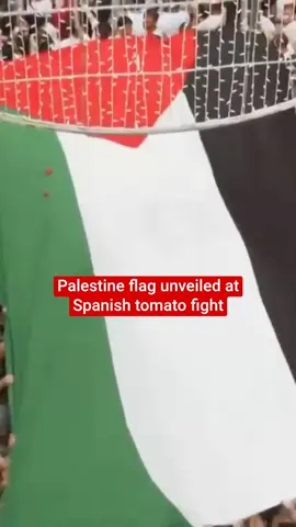 A huge Palestine flag was unveiled at the Spanish 