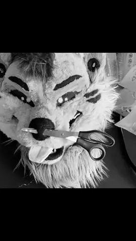 I’ve been wanting to edit Viv to this song!!! She’s come so far in her 6+ years 😭❤️ #fyp #furry #furryfandom #fursuit 