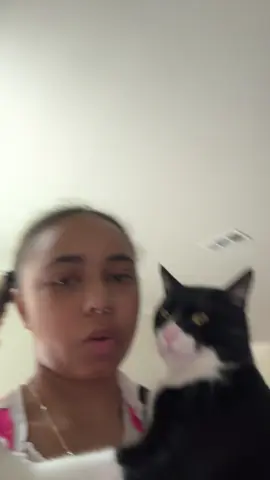 Like what #iyasmachine #fyp #comedyvideo #catsoftiktok #cats 