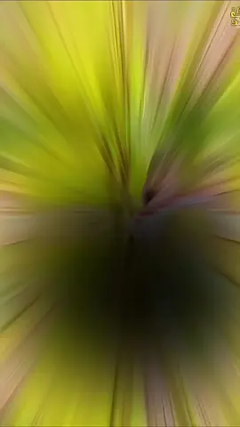 #viral_video #fyp 