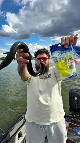 Testing out catfish bites vs American eel to find a store bought bait that will work well for catfishing. The results surprised me as we did have some success on it. I am going out for part 2 today to get a bigger sample size