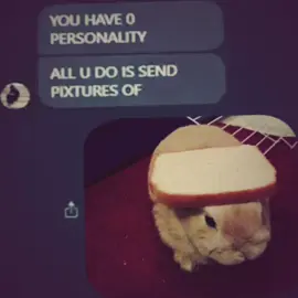 had to hop on this 🐇 #fyp #foryou #glitchcoreedit #juggedit #bunniesoftiktok 