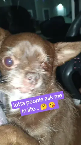 why people are put off by her idk  so Sweet ❤️❤️ dog that other people don't like #dogsoftiktok #blinddog #animals #firesquad 