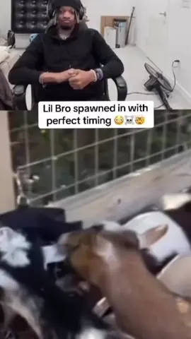 Bruh😭😭😭