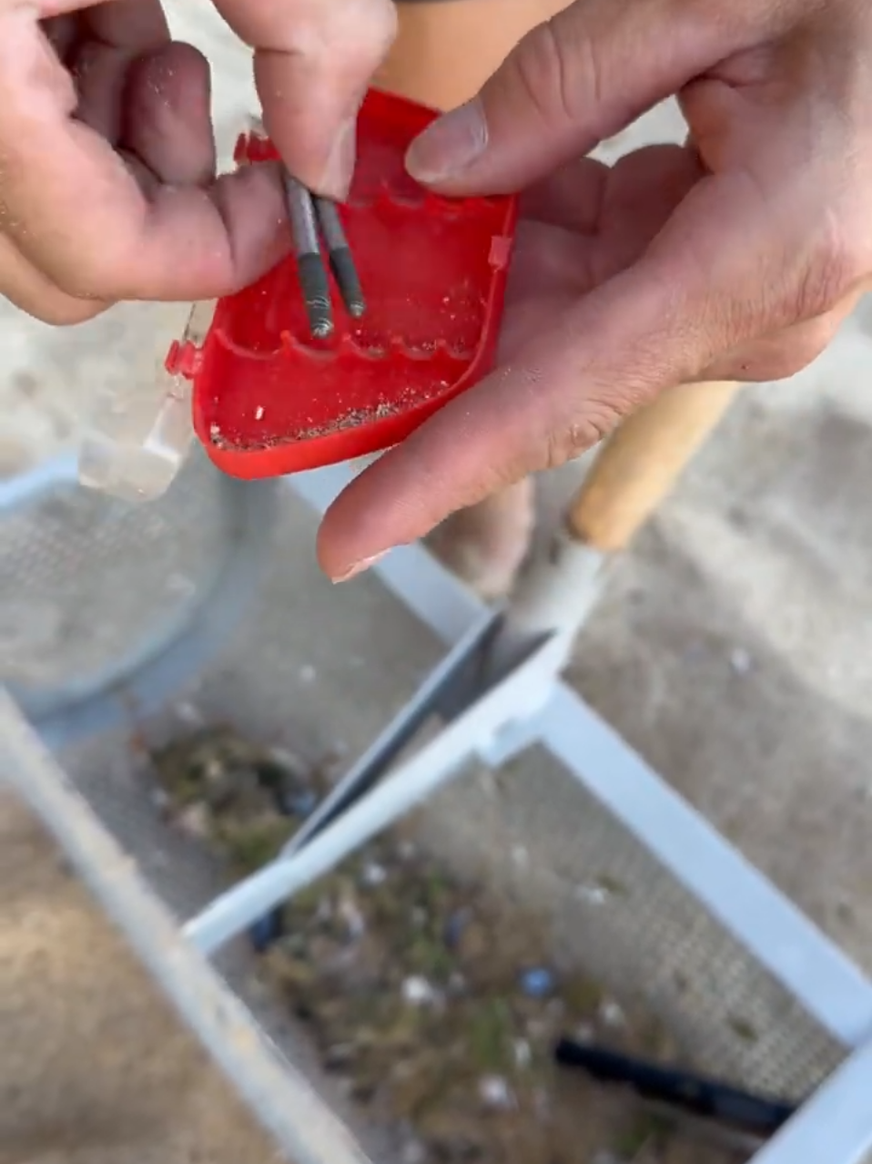 Beach Treasure🥰 #viral #beach #treasure #gold #discovery 