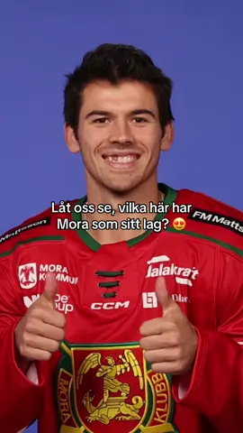 DET ÄR SÅ SKÖNT ATT SE