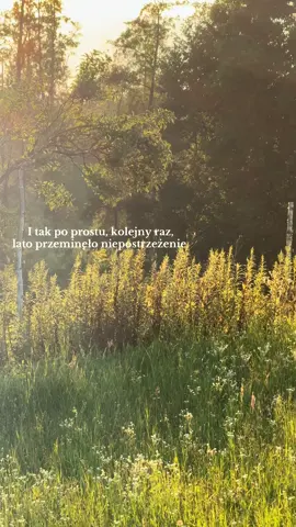 Lato zawsze wymyka się niepostrzeżenie. Jeszcze wczoraj powietrze pachniało słońcem i świeżo skoszoną trawą, a dziś zostaje tylko cisza chłodnych wieczorów. Wszystko kończy się szybciej, niż zdążymy to zauważyć – jakby czas miał w zwyczaju uciekać właśnie wtedy, gdy chcemy zatrzymać go najmocniej. #lato #natura #wieś 