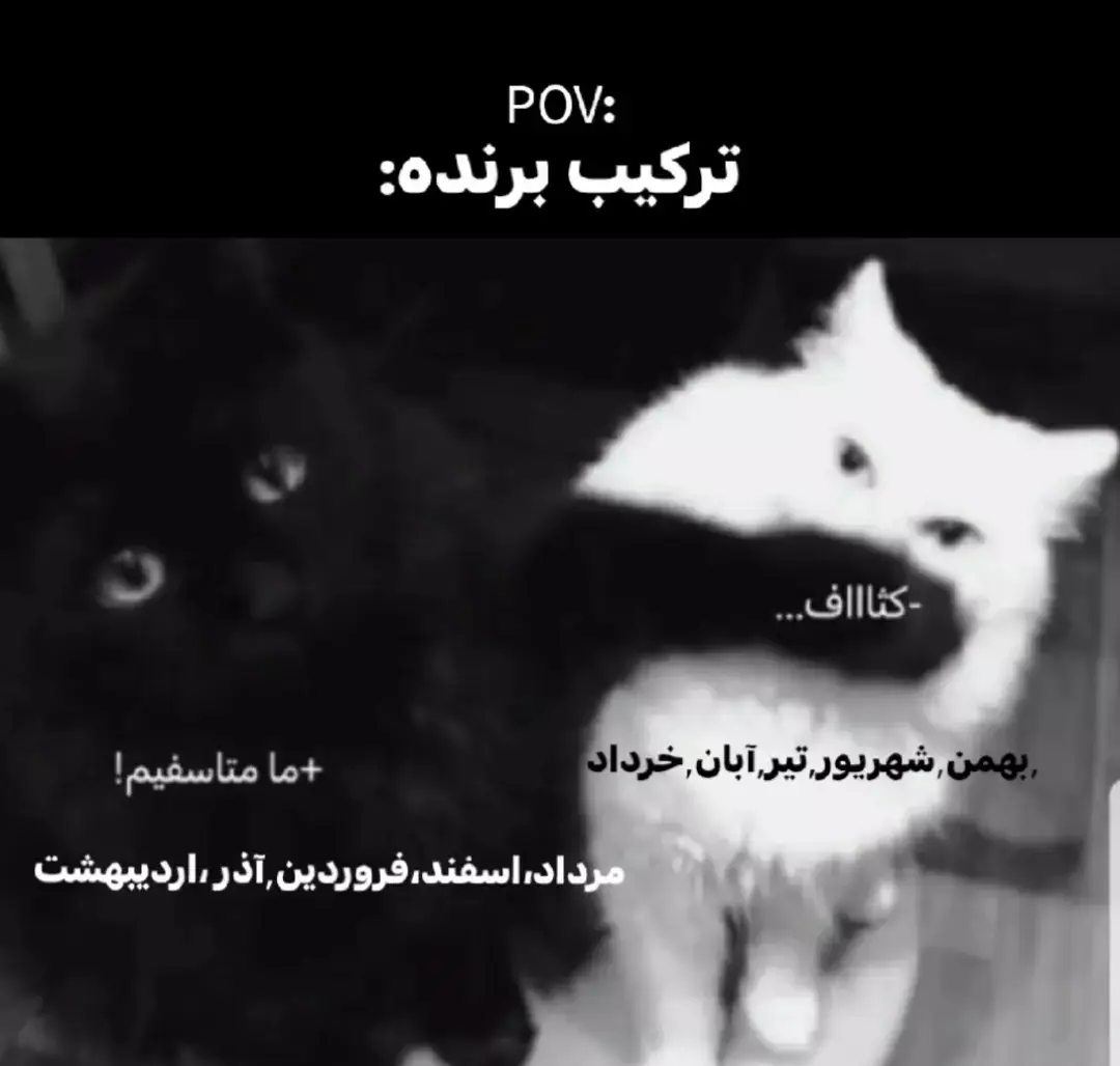 درسته؟ 🤭🙃😩