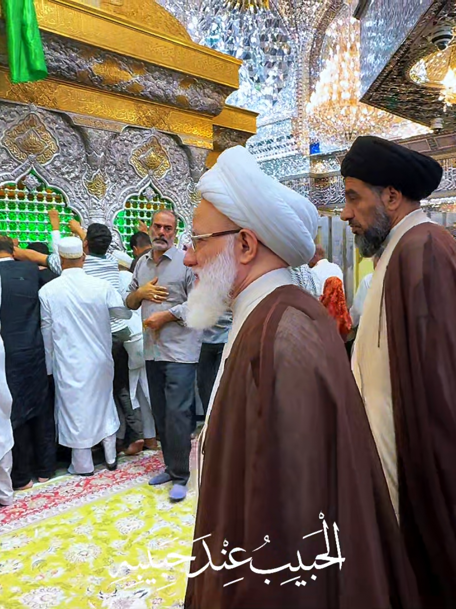 ٱلْـحَبِيبُ عِندَ حَبِيبِهِ • • #المرجع_اليعقوبي #كربلاء #زيارة_الحسين 