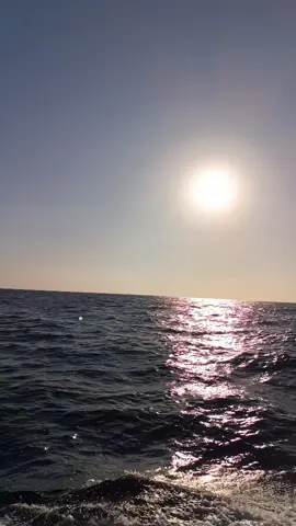 #القبطان👮‍♂️🦅🇪🇬⚓ #البحارة_⚓🌊🐟🐬 