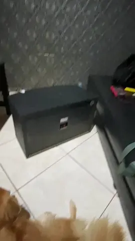 Maintance setiap harinya supaya sound terus terjaga performanya setiap hari🔥