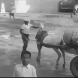 جدة قديما كانت تعتمد على توصيل المياة للبيوت بواسطة عربات فوقها برميل تجرها الحمير الله يكرم الجميع  واسمها سقا موية وتسمع صاحب العربية ينادي وتخرج تعبي الي عندك من دباب او علب او براميل بفلوس واحيانا الراجل حق السقا يكون شايل التنك على اكتافه ويدور في الحارة  والصور توضح الحال زمان(وايتات زمان )
