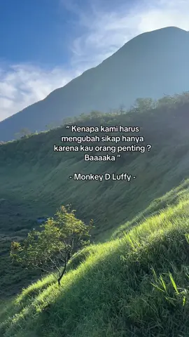 #fyp #onepiece #foryou 